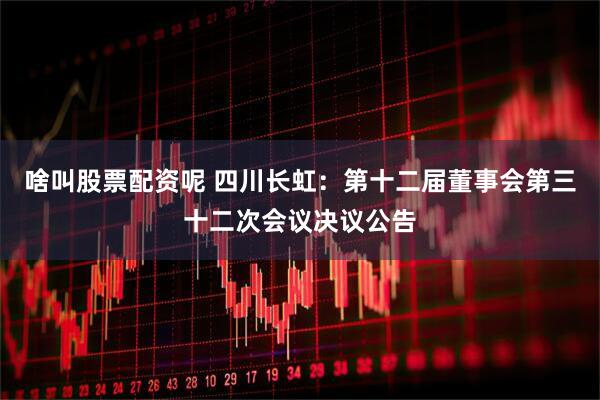 啥叫股票配资呢 四川长虹：第十二届董事会第三十二次会议决议公告