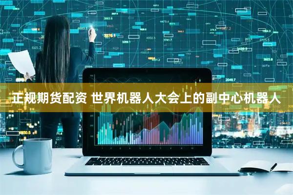 正规期货配资 世界机器人大会上的副中心机器人